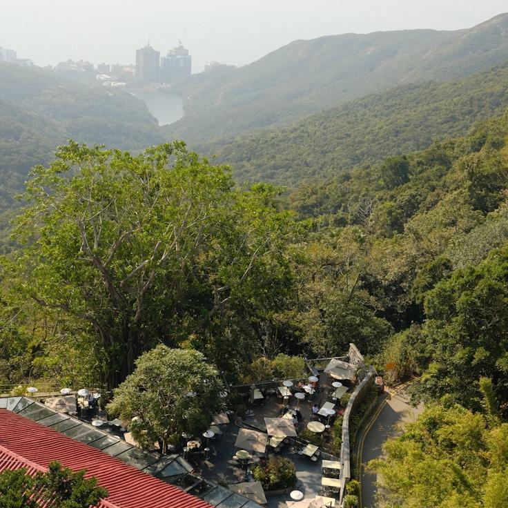 Family terraces and cafés for calm evenings in Amsterdam